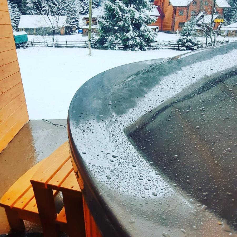 Номер 6 Садиба У Ані Synevyrsʼka Polyana Eksteriør billede